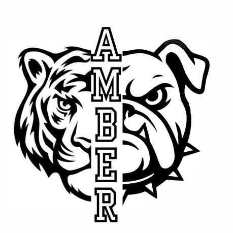Playing for a Legacy: The Amber Brunswig Memorial Game - logo